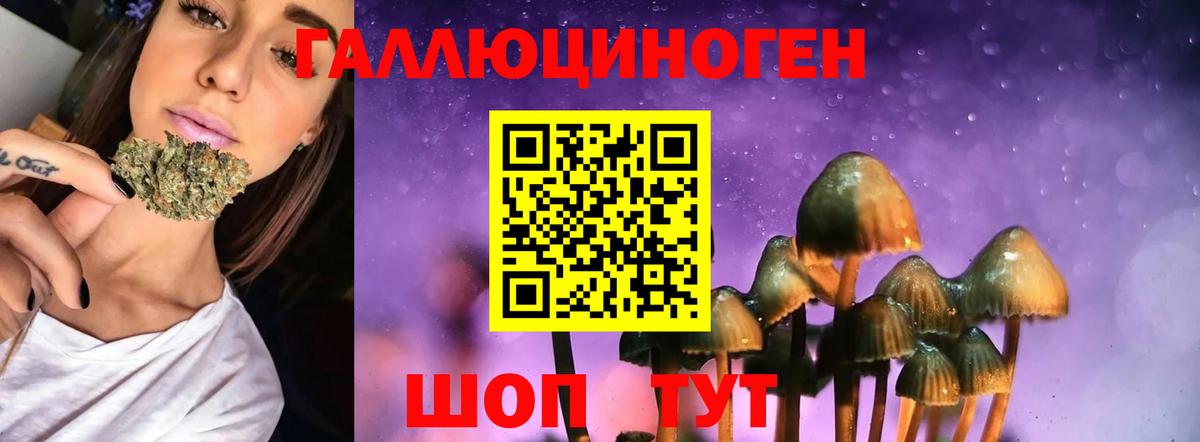 Домодедово  Псилоцибиновые грибы Psilocybine cubensis  Вход с VPN 